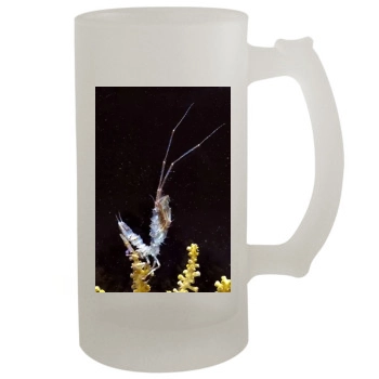 Underwater World 16oz Frosted Beer Stein