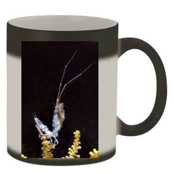 Underwater World Color Changing Mug