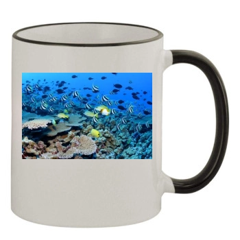 Underwater World 11oz Colored Rim & Handle Mug