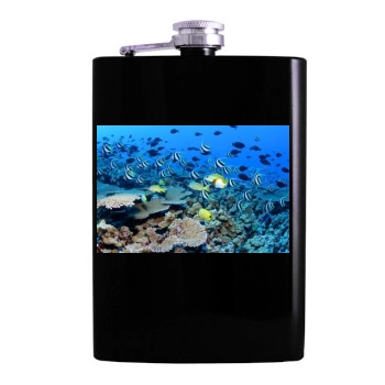 Underwater World Hip Flask