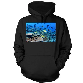 Underwater World Mens Pullover Hoodie Sweatshirt