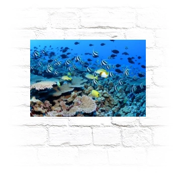 Underwater World Metal Wall Art