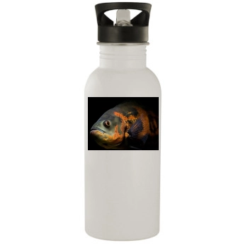 Underwater World Stainless Steel Water Bottle