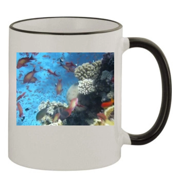 Underwater World 11oz Colored Rim & Handle Mug