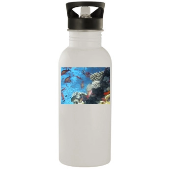 Underwater World Stainless Steel Water Bottle