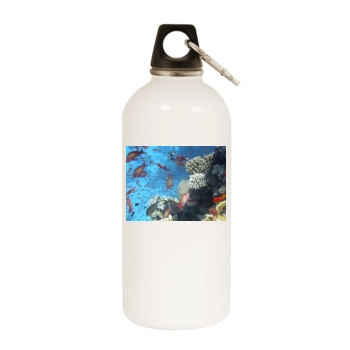 Underwater World White Water Bottle With Carabiner