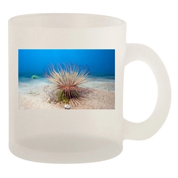 Underwater World 10oz Frosted Mug