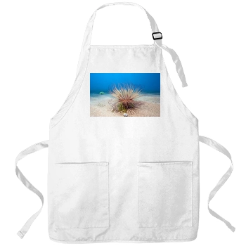 Underwater World Apron