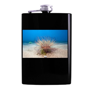 Underwater World Hip Flask