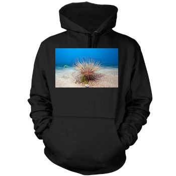 Underwater World Mens Pullover Hoodie Sweatshirt