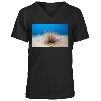 Underwater World Men's V-Neck T-Shirt