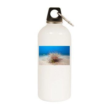 Underwater World White Water Bottle With Carabiner