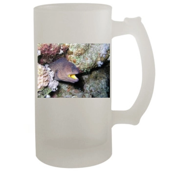 Underwater World 16oz Frosted Beer Stein