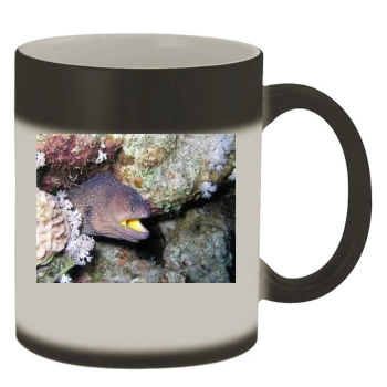 Underwater World Color Changing Mug