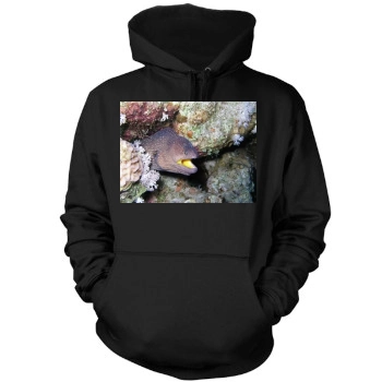 Underwater World Mens Pullover Hoodie Sweatshirt