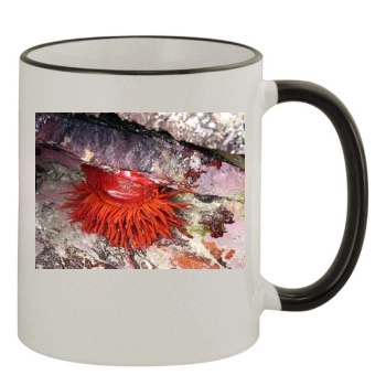 Underwater World 11oz Colored Rim & Handle Mug