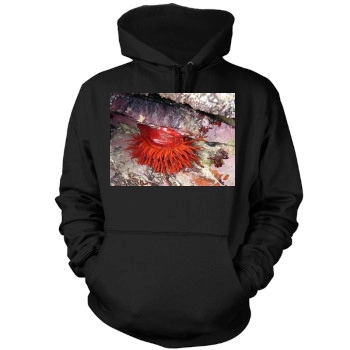 Underwater World Mens Pullover Hoodie Sweatshirt