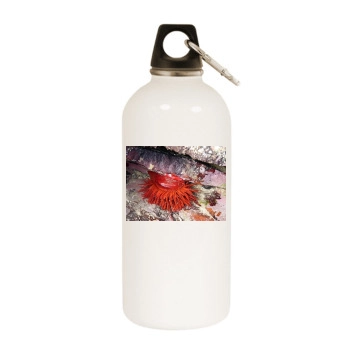 Underwater World White Water Bottle With Carabiner