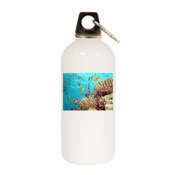 Underwater World White Water Bottle With Carabiner