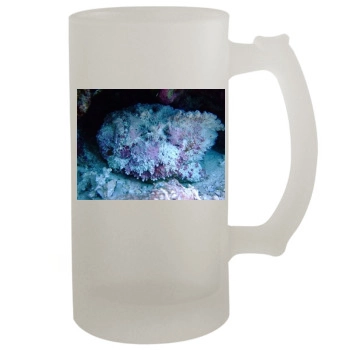 Underwater World 16oz Frosted Beer Stein