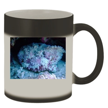 Underwater World Color Changing Mug