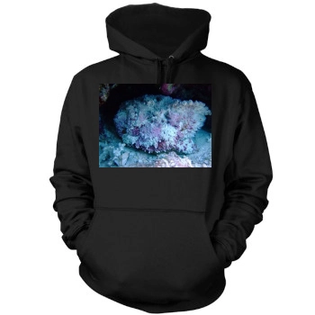 Underwater World Mens Pullover Hoodie Sweatshirt