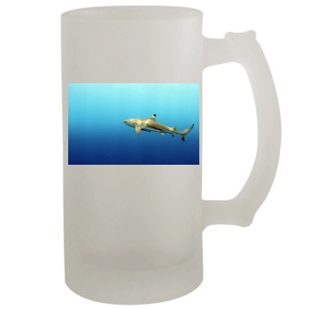 Underwater World 16oz Frosted Beer Stein