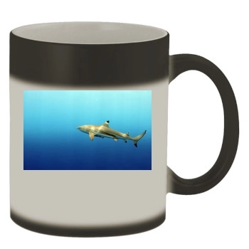 Underwater World Color Changing Mug