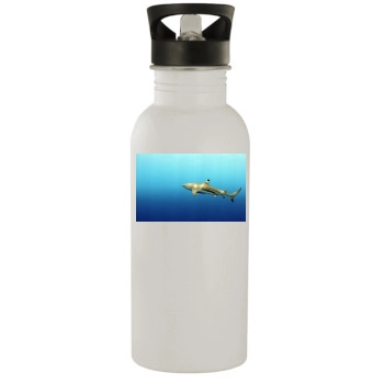 Underwater World Stainless Steel Water Bottle