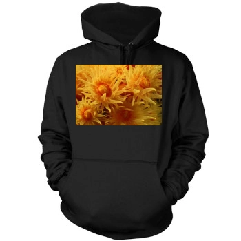 Underwater World Mens Pullover Hoodie Sweatshirt