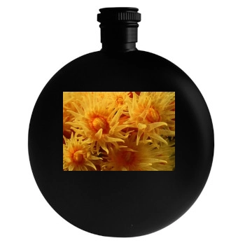 Underwater World Round Flask