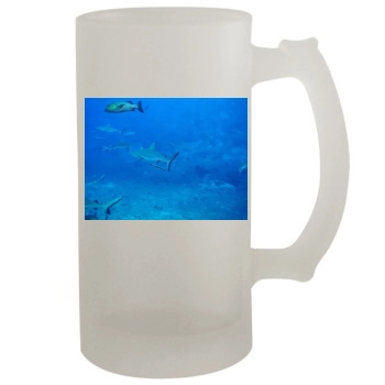 Underwater World 16oz Frosted Beer Stein