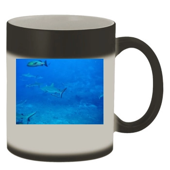 Underwater World Color Changing Mug