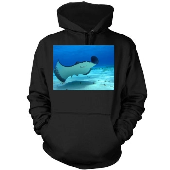 Underwater World Mens Pullover Hoodie Sweatshirt