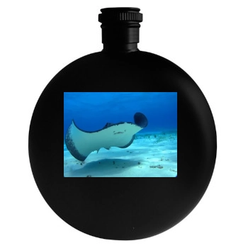 Underwater World Round Flask