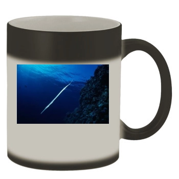 Underwater World Color Changing Mug