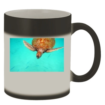 Underwater World Color Changing Mug