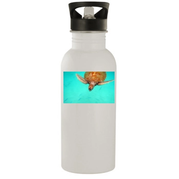 Underwater World Stainless Steel Water Bottle