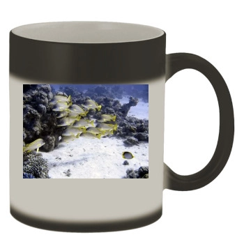 Underwater World Color Changing Mug