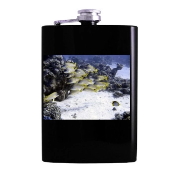 Underwater World Hip Flask