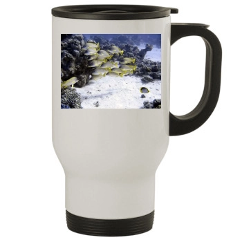 Underwater World Stainless Steel Travel Mug