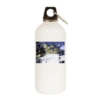 Underwater World White Water Bottle With Carabiner