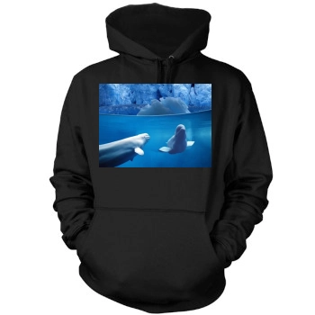 Underwater World Mens Pullover Hoodie Sweatshirt