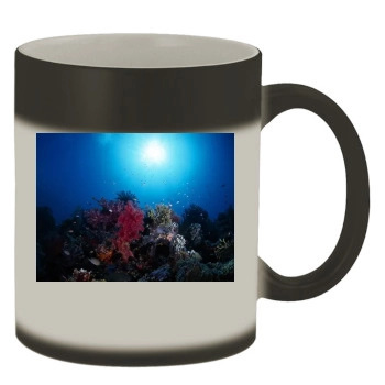 Underwater World Color Changing Mug