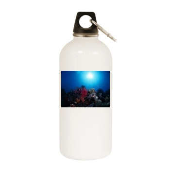 Underwater World White Water Bottle With Carabiner