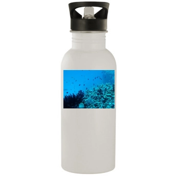 Underwater World Stainless Steel Water Bottle