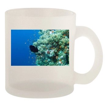 Underwater World 10oz Frosted Mug