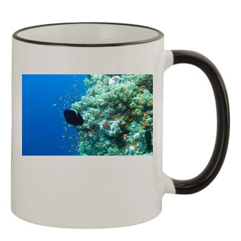 Underwater World 11oz Colored Rim & Handle Mug