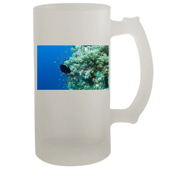 Underwater World 16oz Frosted Beer Stein