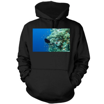 Underwater World Mens Pullover Hoodie Sweatshirt